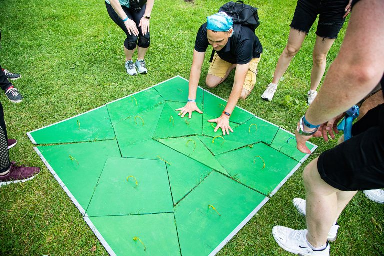 Гигантские пазлы